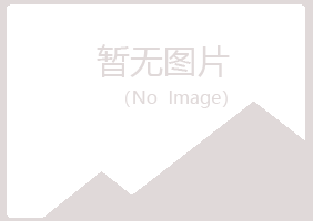 北湖区山柳咨询有限公司